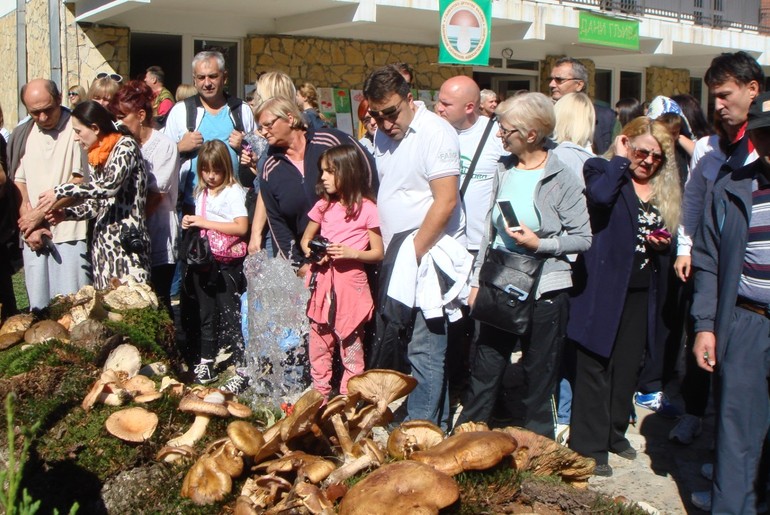 Dani gljiva (arhiva) (foto: Dragić Tomić)