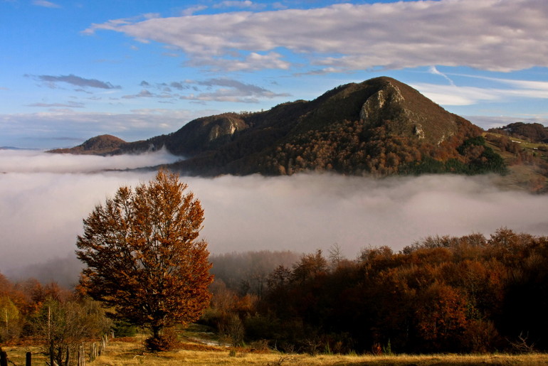 Povlen u jesen (foto: Đorđe Đoković)