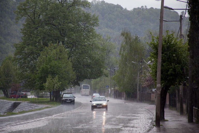 Pljusak (foto: Đorđe Đoković)