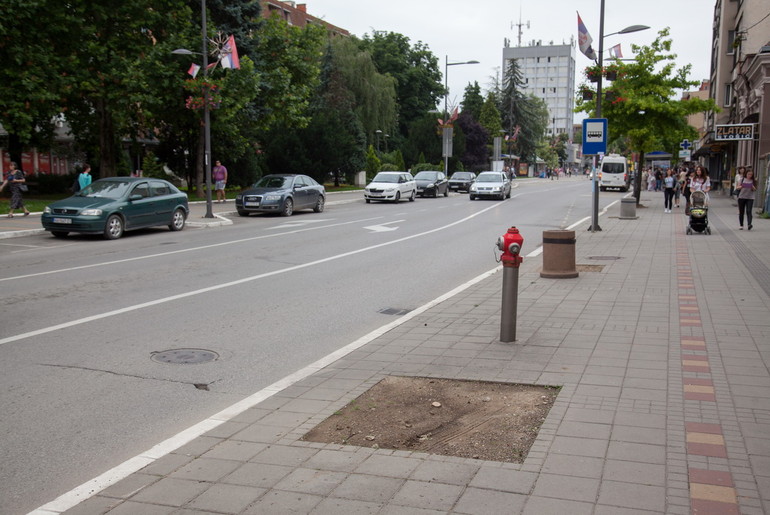 Posečeno drveće u Karađorđevoj (foto: Đorđe Đoković)