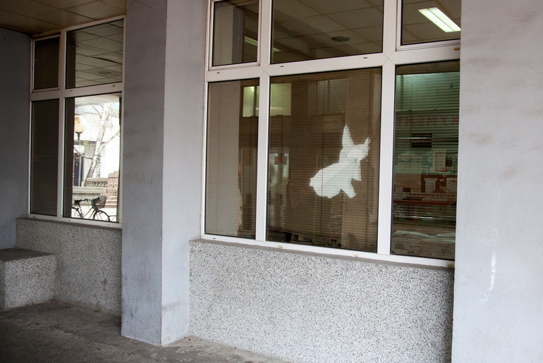 Polupan prozor na zgradi Gradske uprave (foto: Đorđe Đoković)