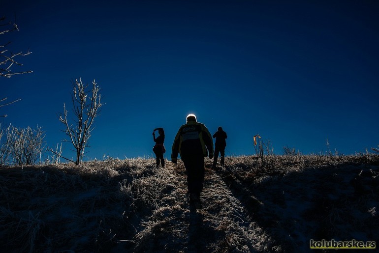 Šetnja (foto: Đorđe Đoković)