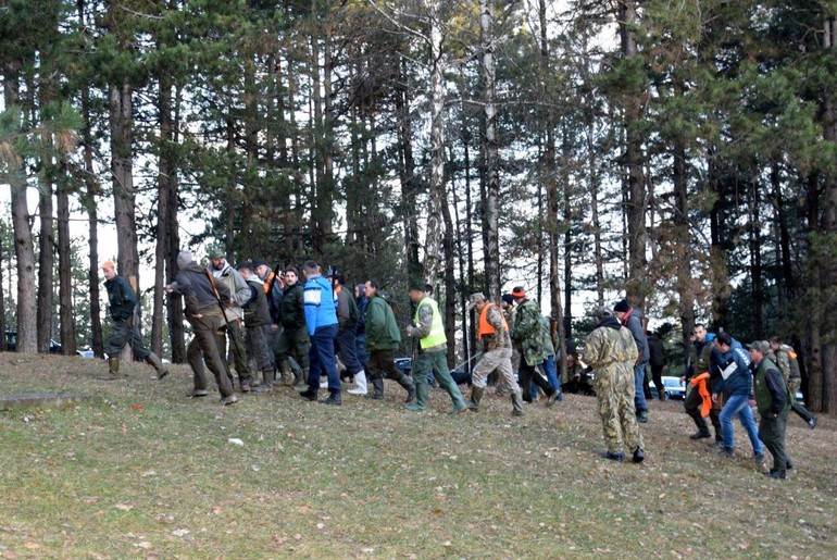 Zlatna rajačka lisica (foto: Vlada Ivanović)