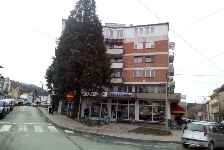 Centar Ljiga (foto: Miroslava Kojić)