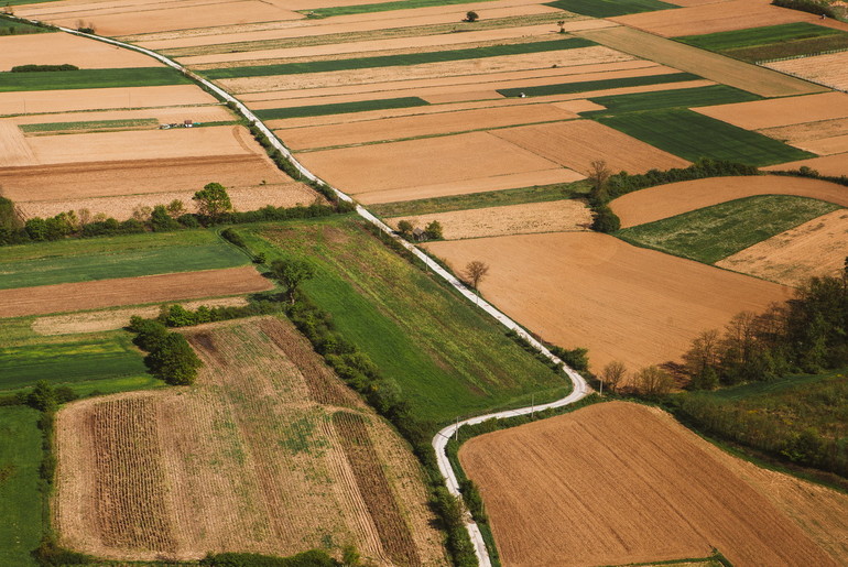 Njive i livade (foto: Đorđe Đoković)