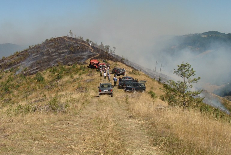 Šumski požar u Planinici (foto: Kolubarske.rs)