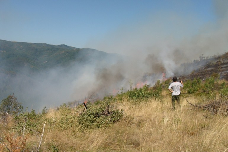 Šumski požar na Planinici (foto: Kolubarske.rs)