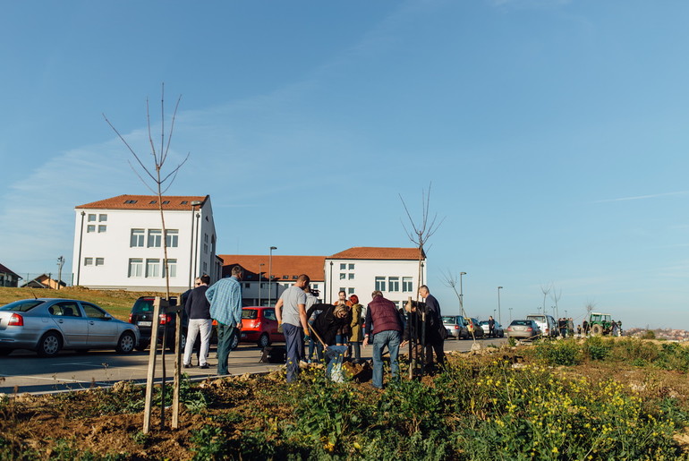 Rotarijanci sade crveni javor u školskom dvorištu (foto: Đorđe Đoković)