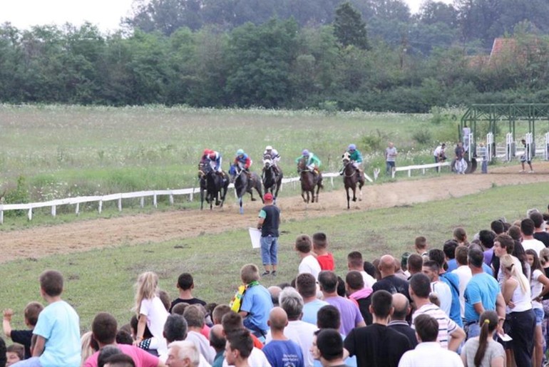 Hipodrom u Vrelu (arhiva) (foto: Milovan Milovanović)