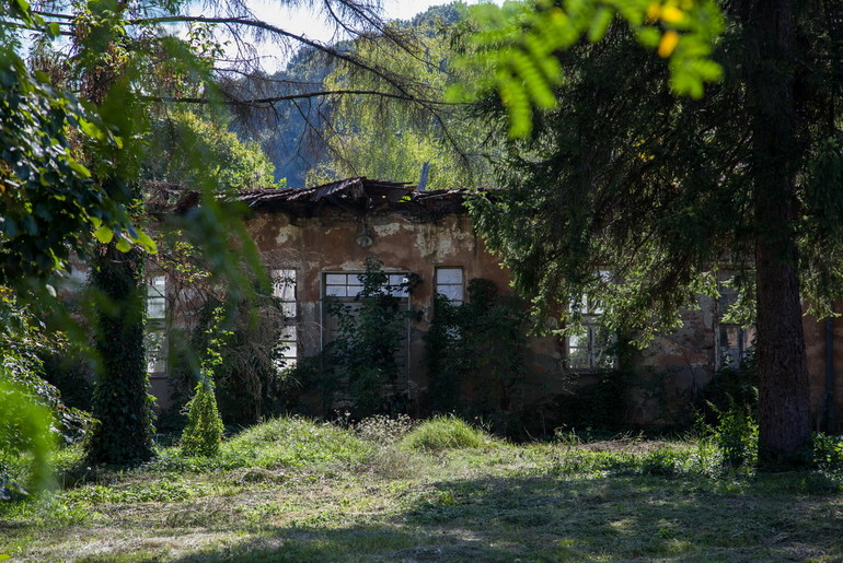 Kadinjača (ilustracija) (foto: Đorđe Đoković)