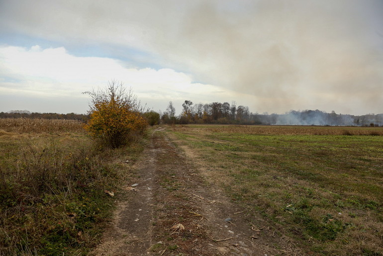 Livade kupljene za privrednu zonu (foto: Đorđe Đoković)