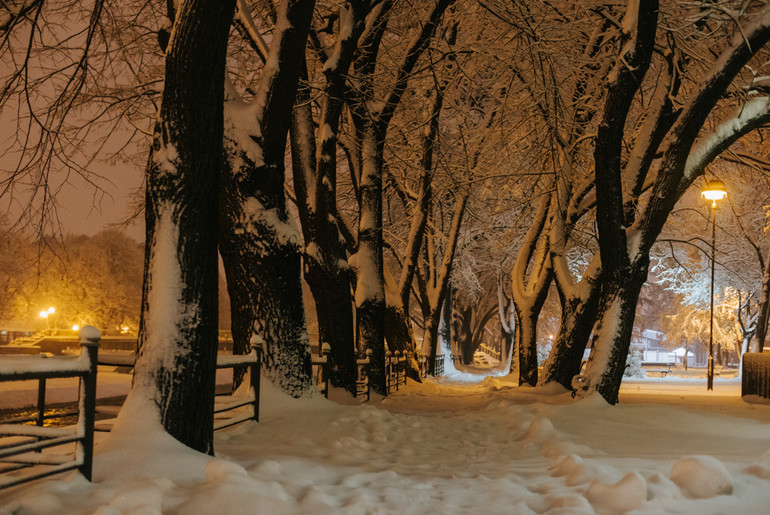 Park preko puta Centra za kulturu (foto: Đorđe Đoković)