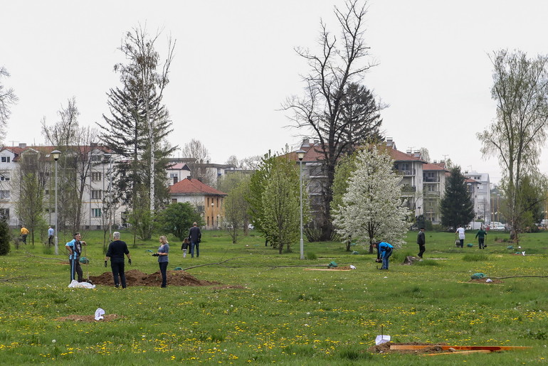 Rotarijancu Valjeva i Velenja sade drveće (foto: Đorđe Đoković)