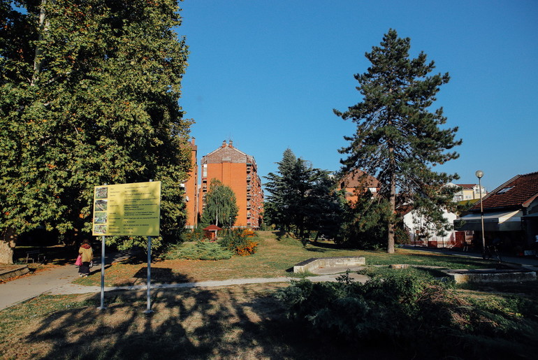 Prostor za dečje igralište (foto: Đorđe Đoković)