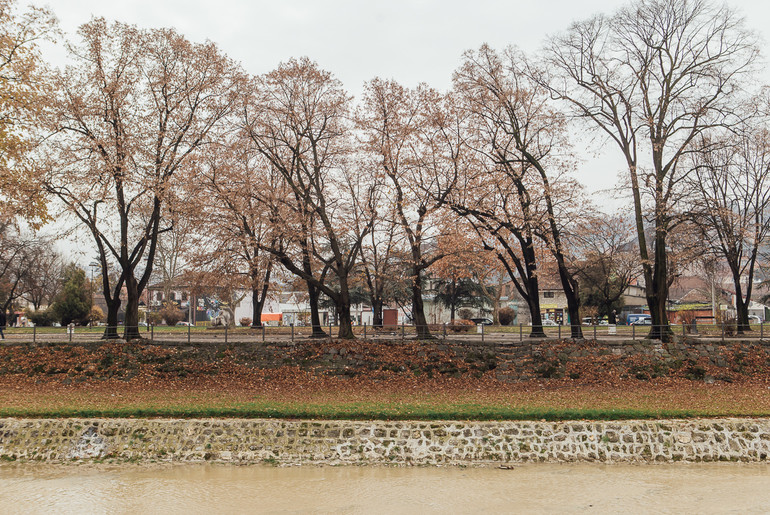 Park prekoputa Centra za kulturu (foto: Đorđe Đoković)