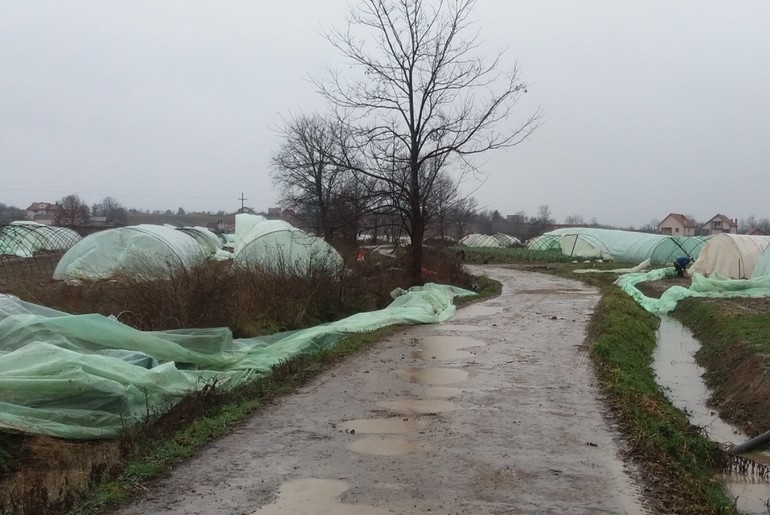 Zaselak Gračica u Sovljaku (foto: Dragana Nedeljković)