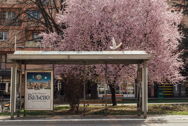 Dobro došli u Valjevo (foto: Đorđe Đoković)