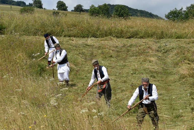 Košenje  po novim pravilima (foto: Ognjen Ivanović)