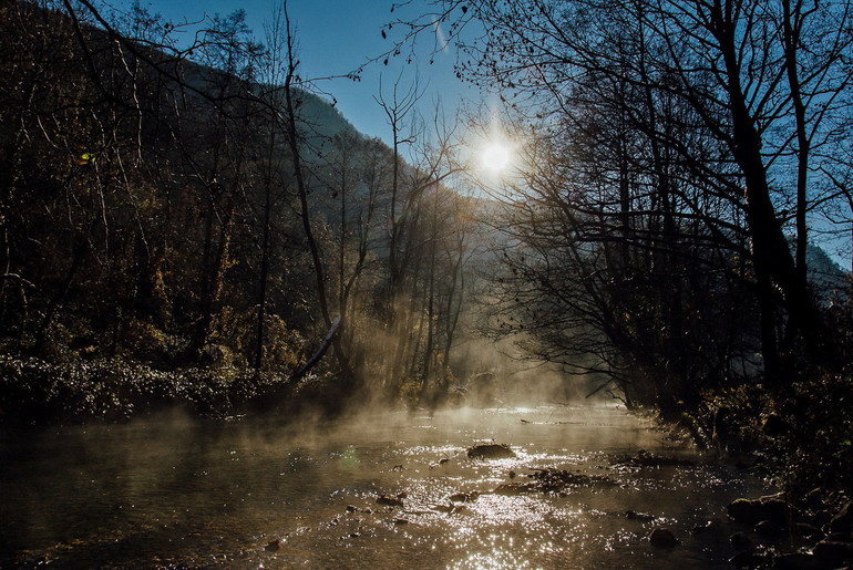 Gradac (foto: Đorđe Đoković)