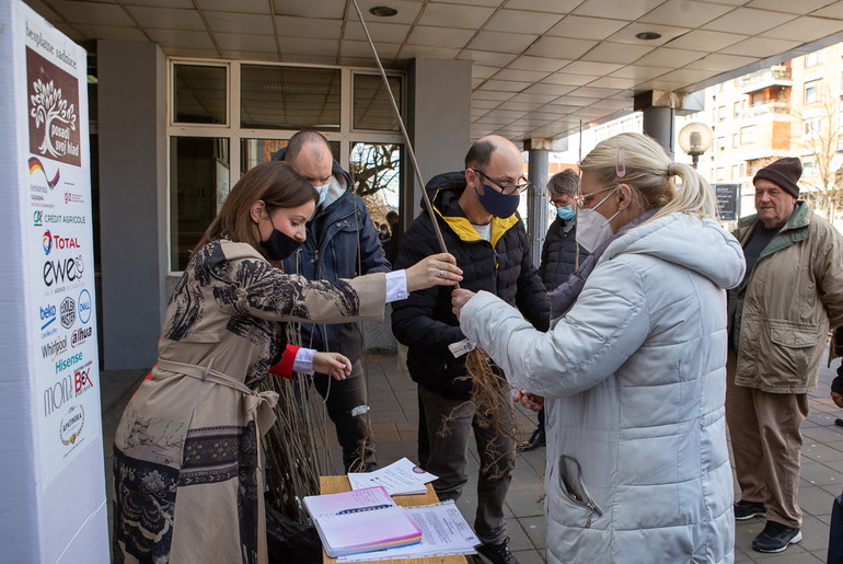 Podela besplatnih sadnica (foto: DjordjeDjokovic)