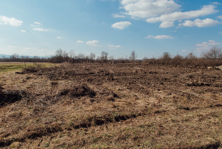 Buduća privredna zona u Popučkama (foto: Đorđe Đoković)