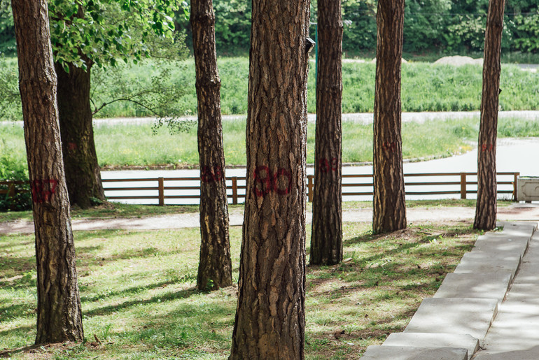 Park Pećina (foto: Đorđe Đoković)