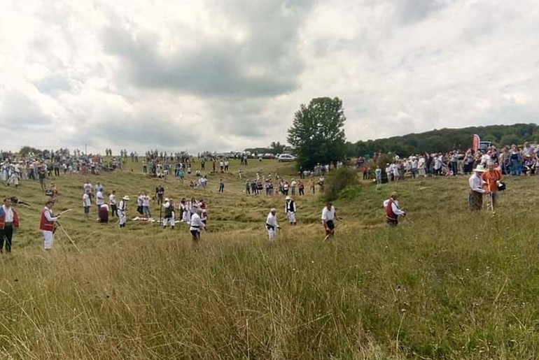 Kosidba na Rajcu (2018.) (foto: Miroslava Kojić)