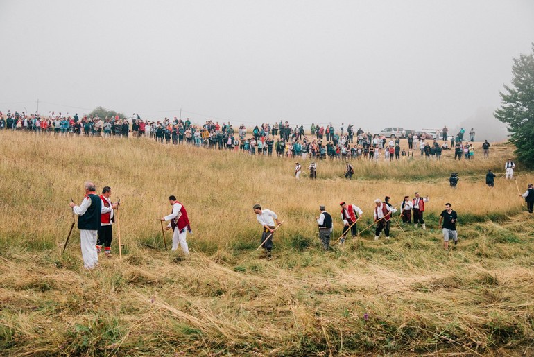 Kosidba na Rajcu (2021.) (foto: Sara Radivojević)