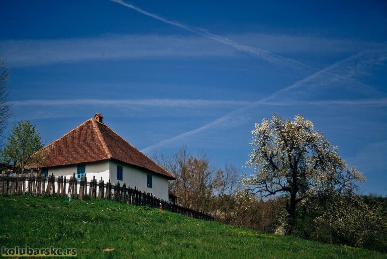 Selo (ilustracija) (foto: Đorđe Đoković)