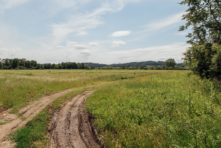 Buduća privredna zona (foto: Đorđe Đoković)