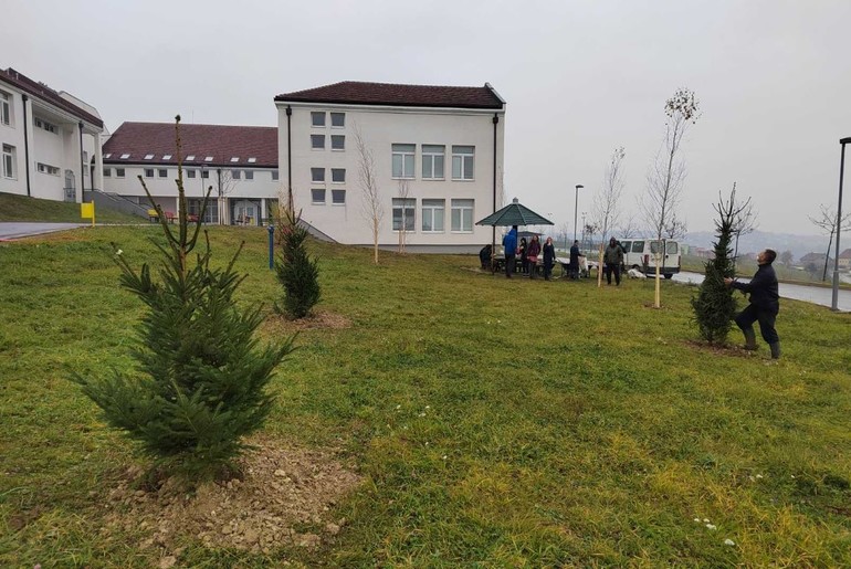 Posađeno drveće u dvorištu škole (foto: Kolubarske.rs)