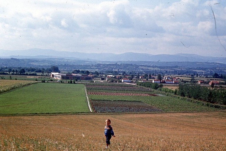 Popučke (foto: Vladimir Pantić)