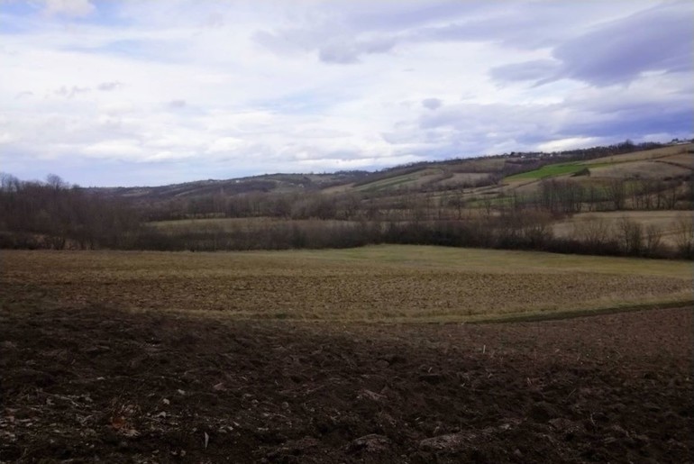 Popučke (foto: Radenko Branković)