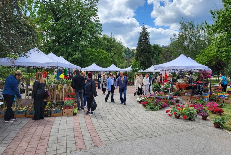 Izložba cveća u Parku na Jadru (foto: Kolubarske.re)