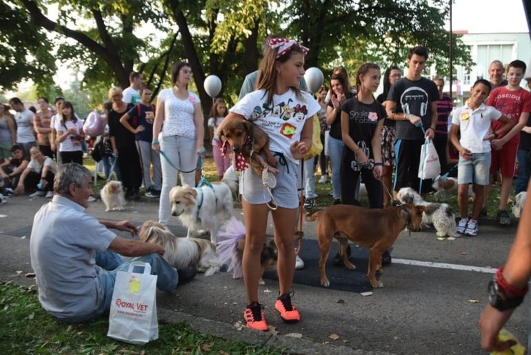 Izložba pasa mešanaca (foto: Udruženje Čarna)