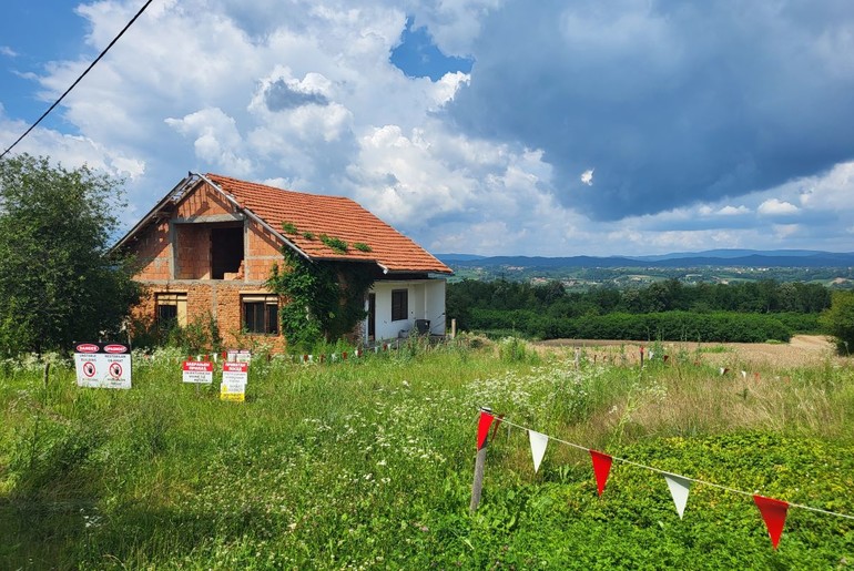 Nedeljice (ilustracija) (foto: Kolubarske.rs)