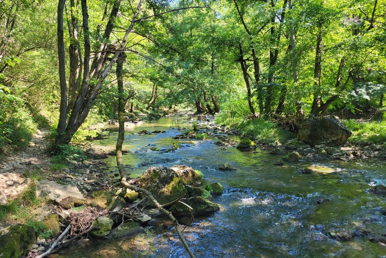 Gradac (foto: Kolubarske.rs)